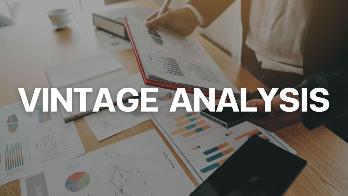 Vintage analysis